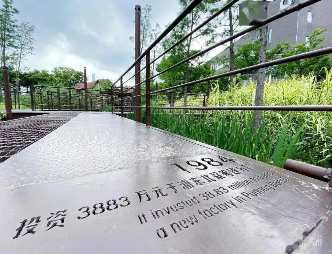 5.5公里楊浦濱江岸線,楊樹浦路變身“露天博物館”