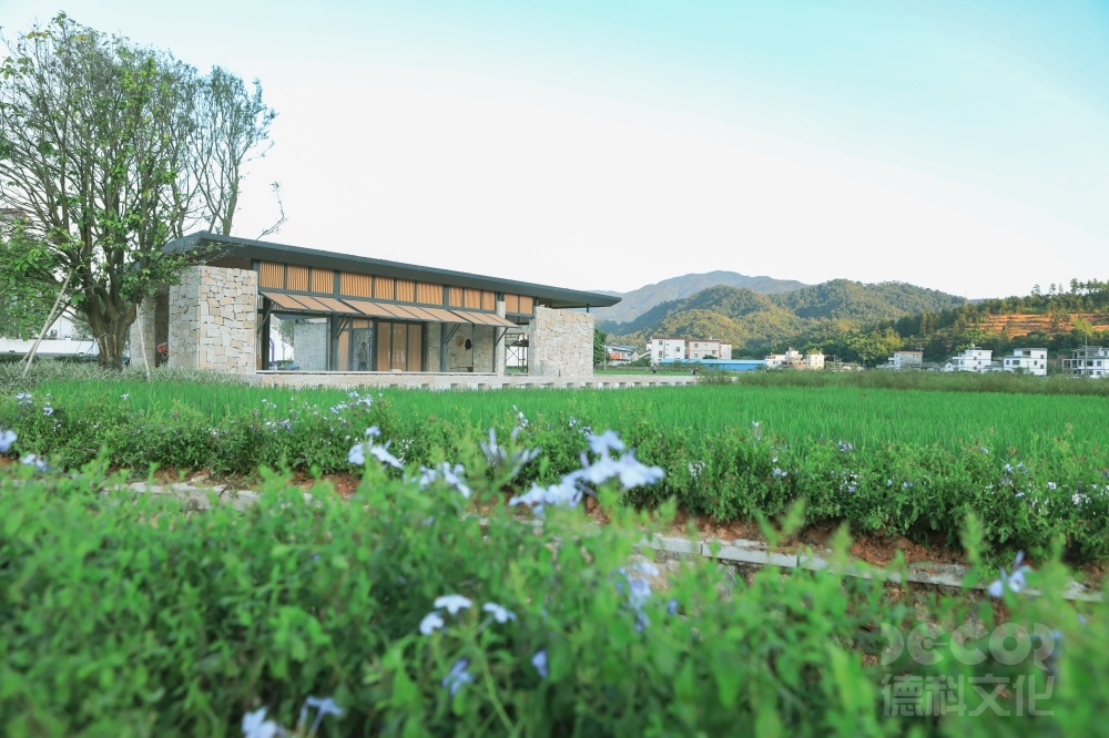 鄉村文旅設計如何結合鄉村音樂會和藝術展覽?